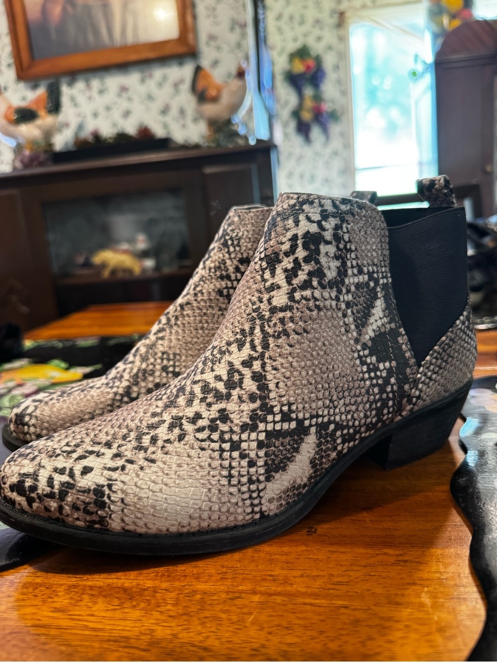 Women’s Snake-Print Qupid Booties - Black & White